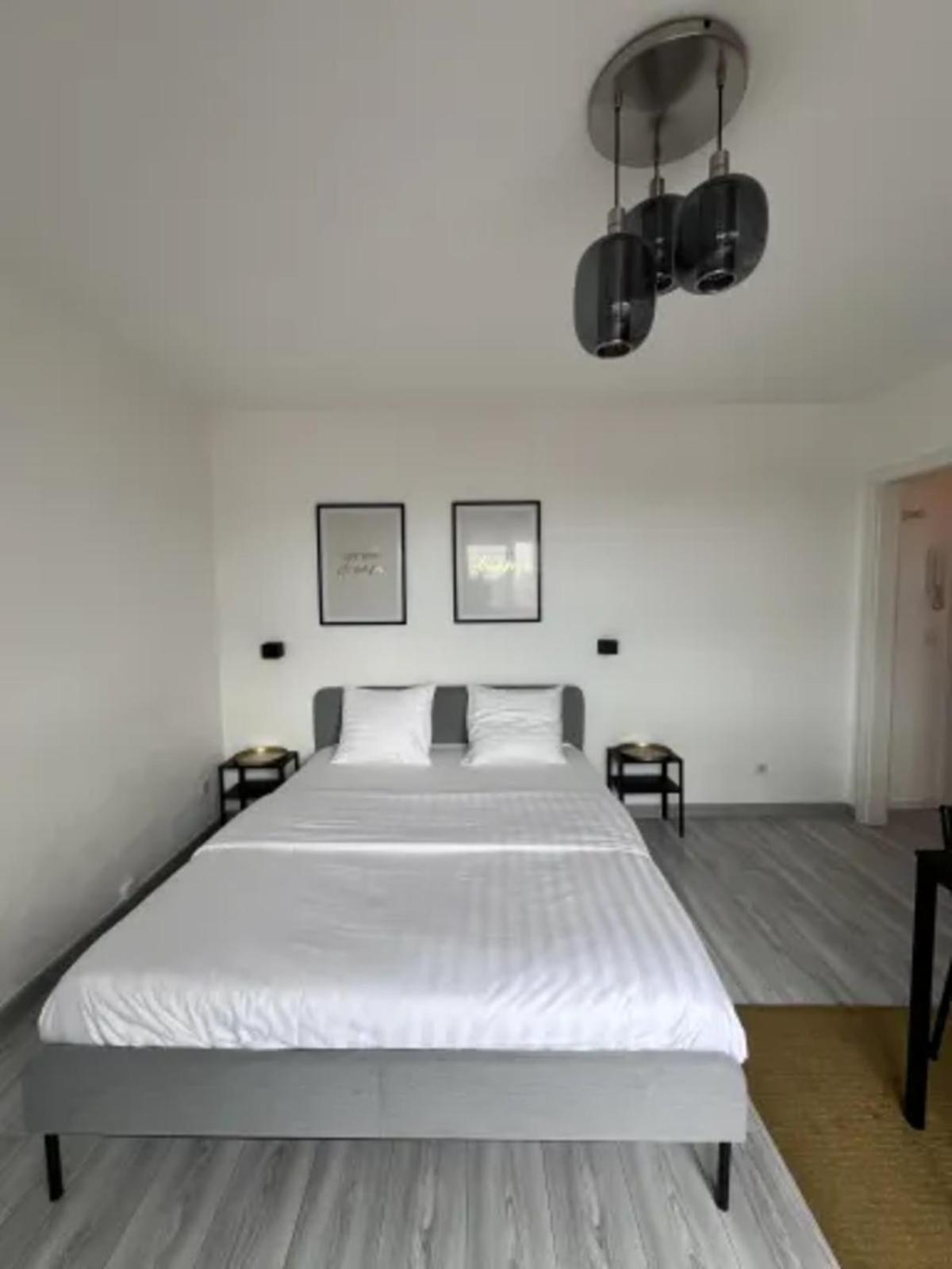 فيلا Cosy Rent Strasbourg Wifi Terrasse St Aloise المظهر الخارجي الصورة